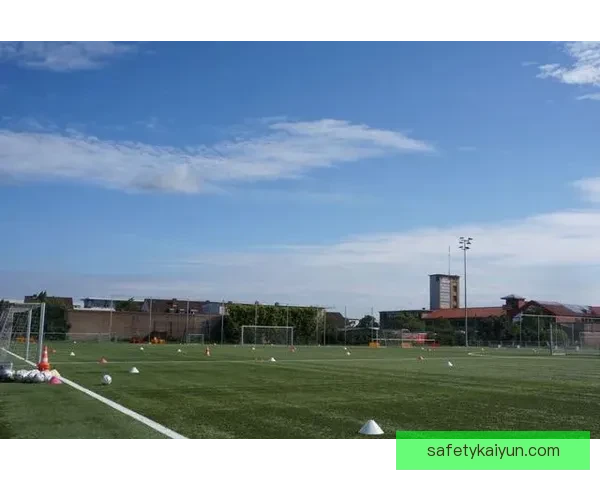 狼堡青训实力持续提升 助力球队未来发展潜力分析